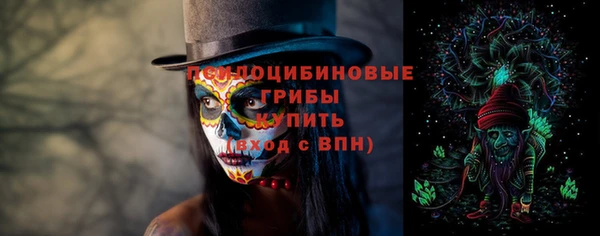 мдпв Осташков