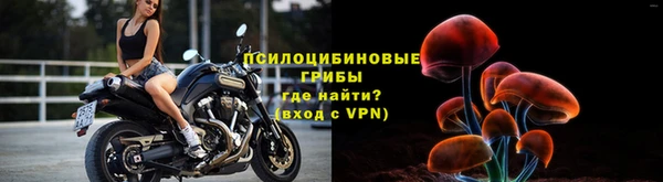мдпв Осташков