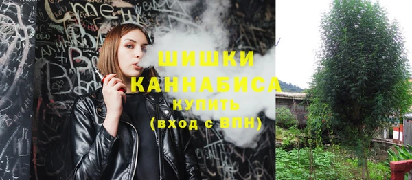 круглые Осинники