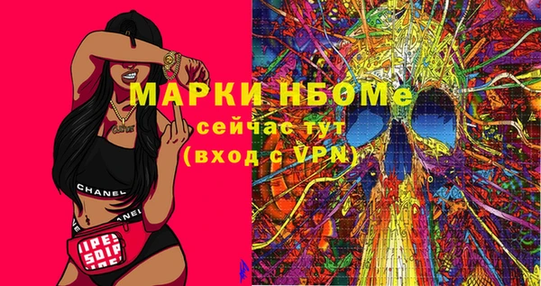 мдпв Осташков