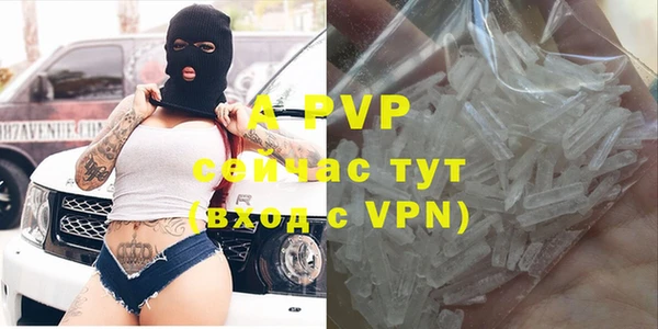 круглые Осинники