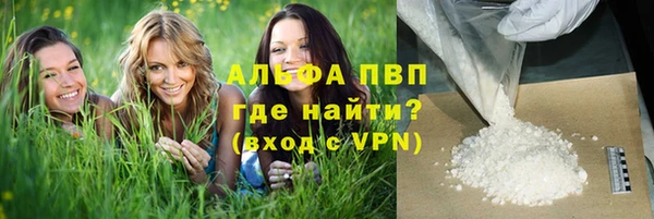 мдпв Осташков