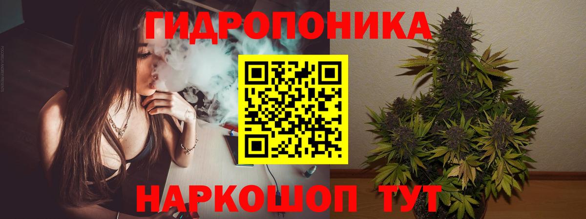 Конопля OG Kush  Вход с VPN  Канабис планчик  Бошки марихуана тримм  Хабаровск 